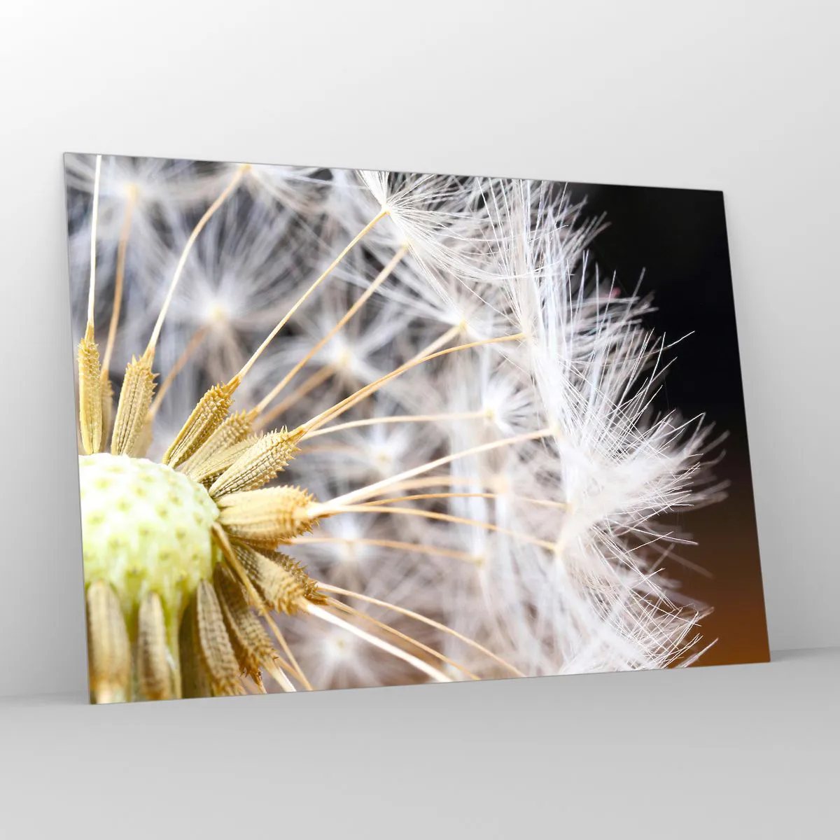 Impression sur verre - Image sur verre - Gros plan d'un pissenlit aux graines délicates - 100x70cm - Juste avant le départ - Décoration murale moderne pour le salon et la chambre ARTTOR