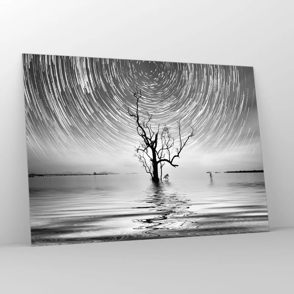 Cuadro sobre vidrio - Impresiones sobre Vidrio - Paisaje en blanco y negro con un árbol y rayas de estrellas. - 100x70cm - Una sinfonía de la naturaleza - Decoración de pared moderna para salón y dormitorio ARTTOR
