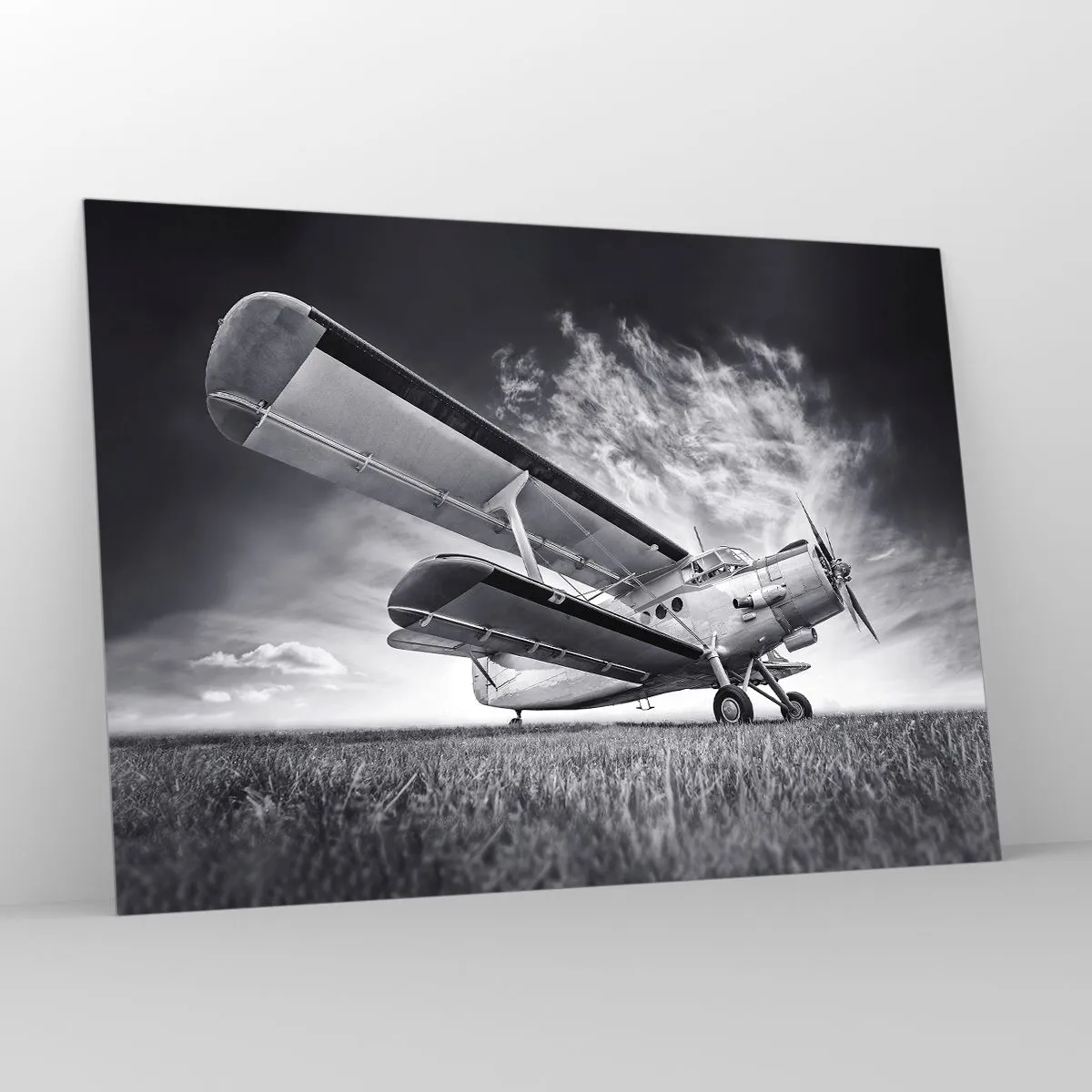 Quadro em vidro - Andarilho alado - 100x70 cm