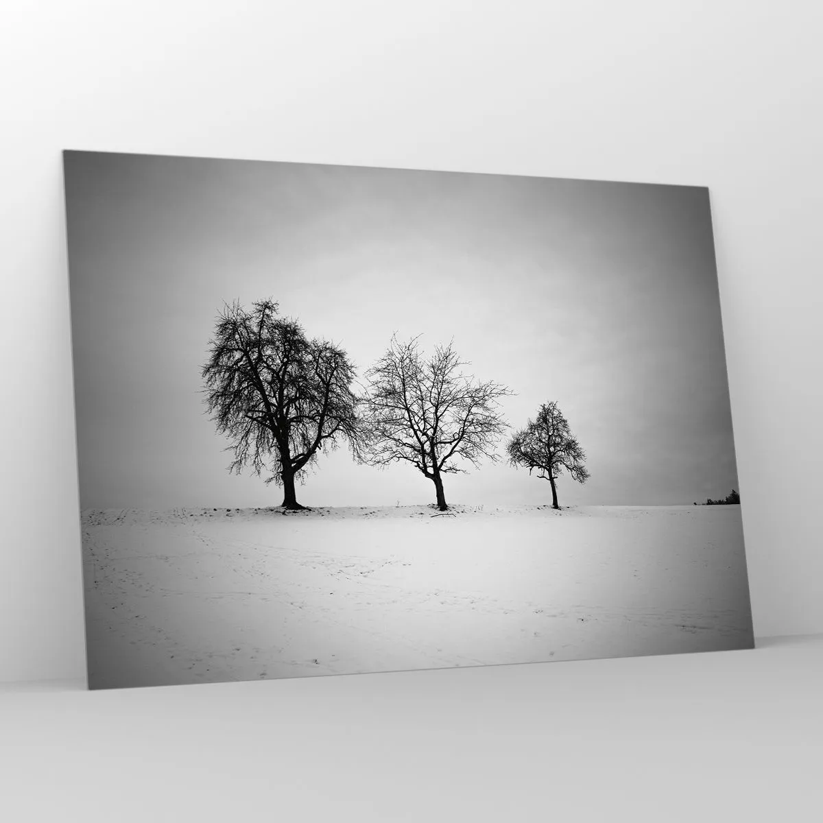 Glasbild - Bild auf glas - Drei einsame Bäume in einer schneebedeckten Gegend - 100x70cm - Wovon träumen sie? - Moderne Wanddekoration für Wohnzimmer und Schlafzimmer ARTTOR