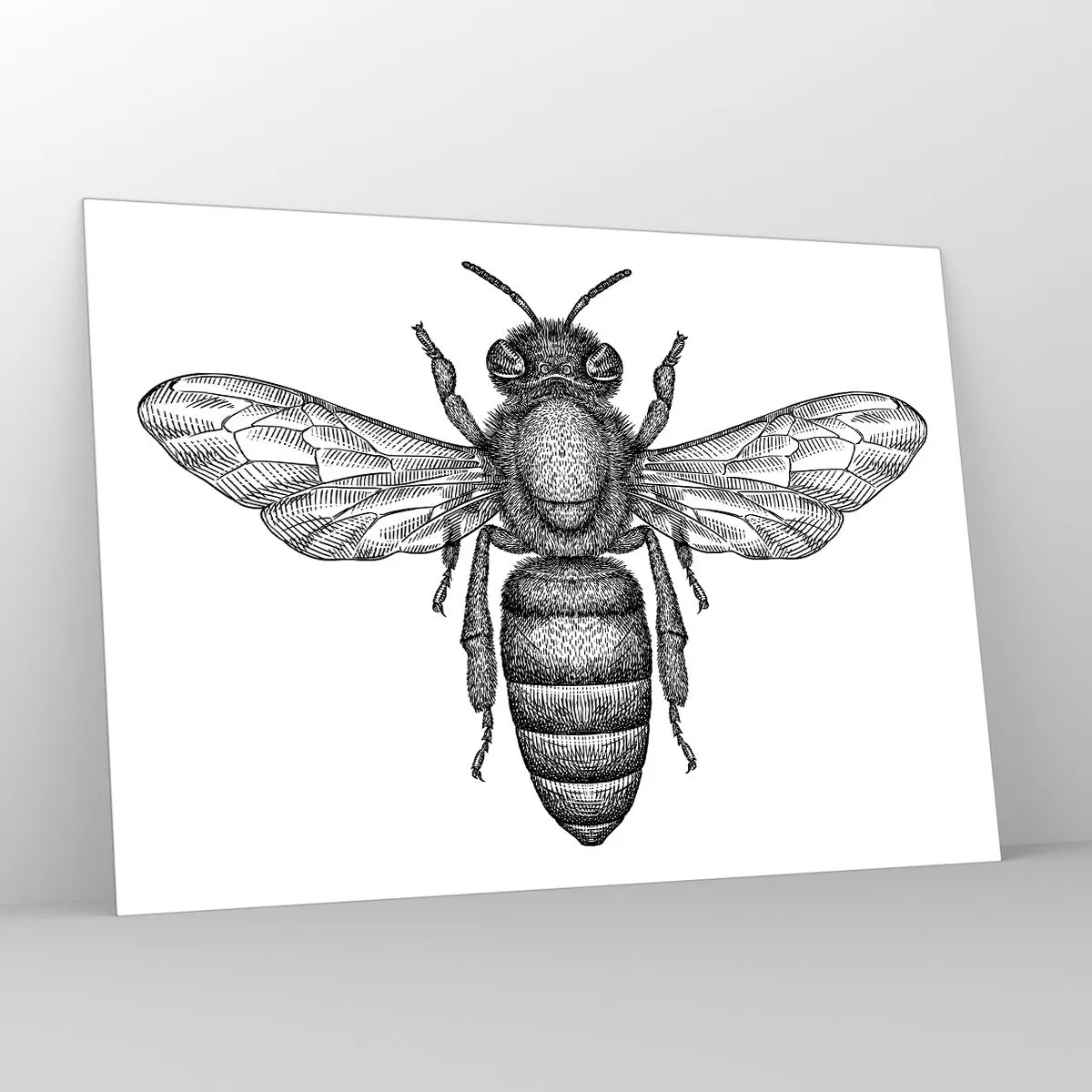 Cuadro sobre vidrio - Impresiones sobre Vidrio - Ilustración detallada de una abeja retro sobre un fondo blanco. - 100x70cm - Retrato de insecto - Decoración de pared moderna para salón y dormitorio ARTTOR