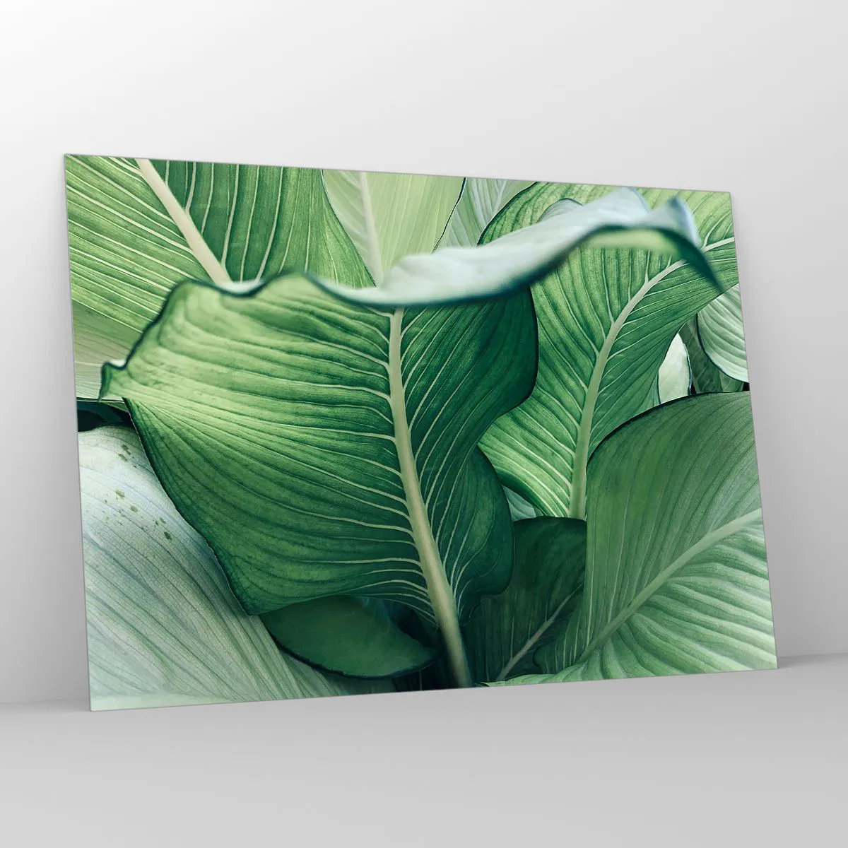 Impression sur verre - Image sur verre - Feuilles vertes luxuriantes en gros plan et à la lumière naturelle - 100x70cm - Une vie intensément verte - Décoration murale moderne pour le salon et la chambre ARTTOR