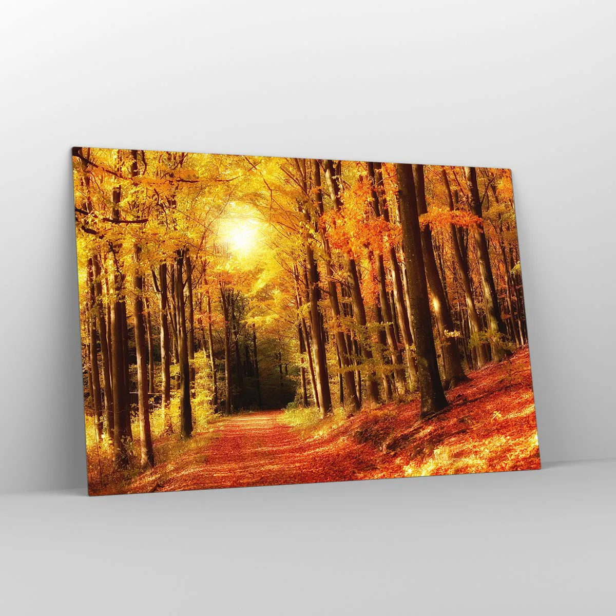 Glass picture - Golden Autumn on a Forest Path - 120x80 cm