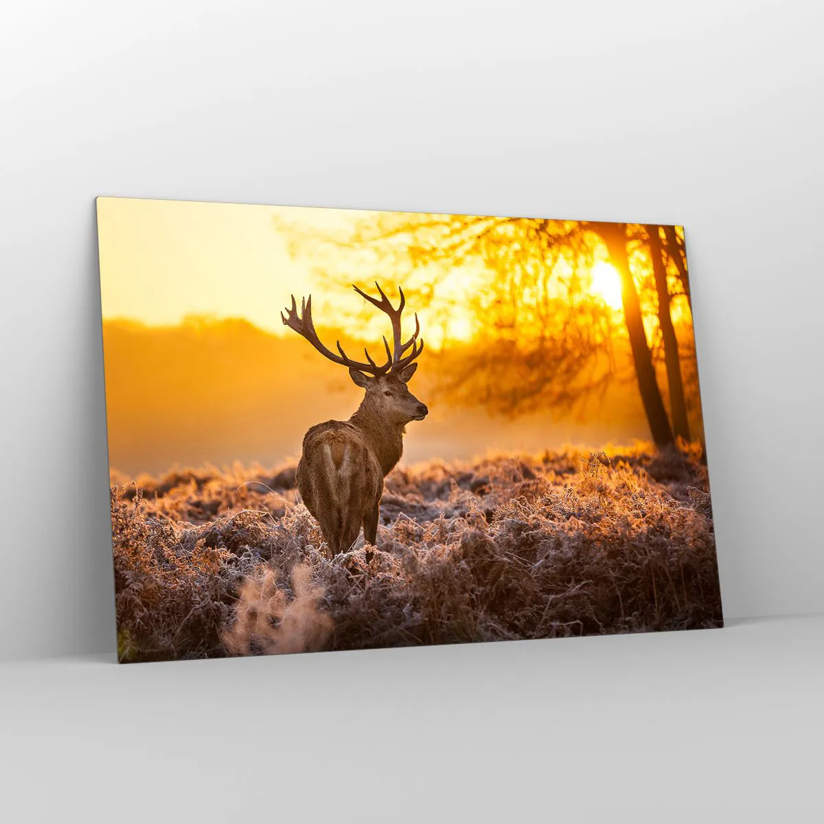 Üveg kép - Az őszi erdő királya - 120x80 cm