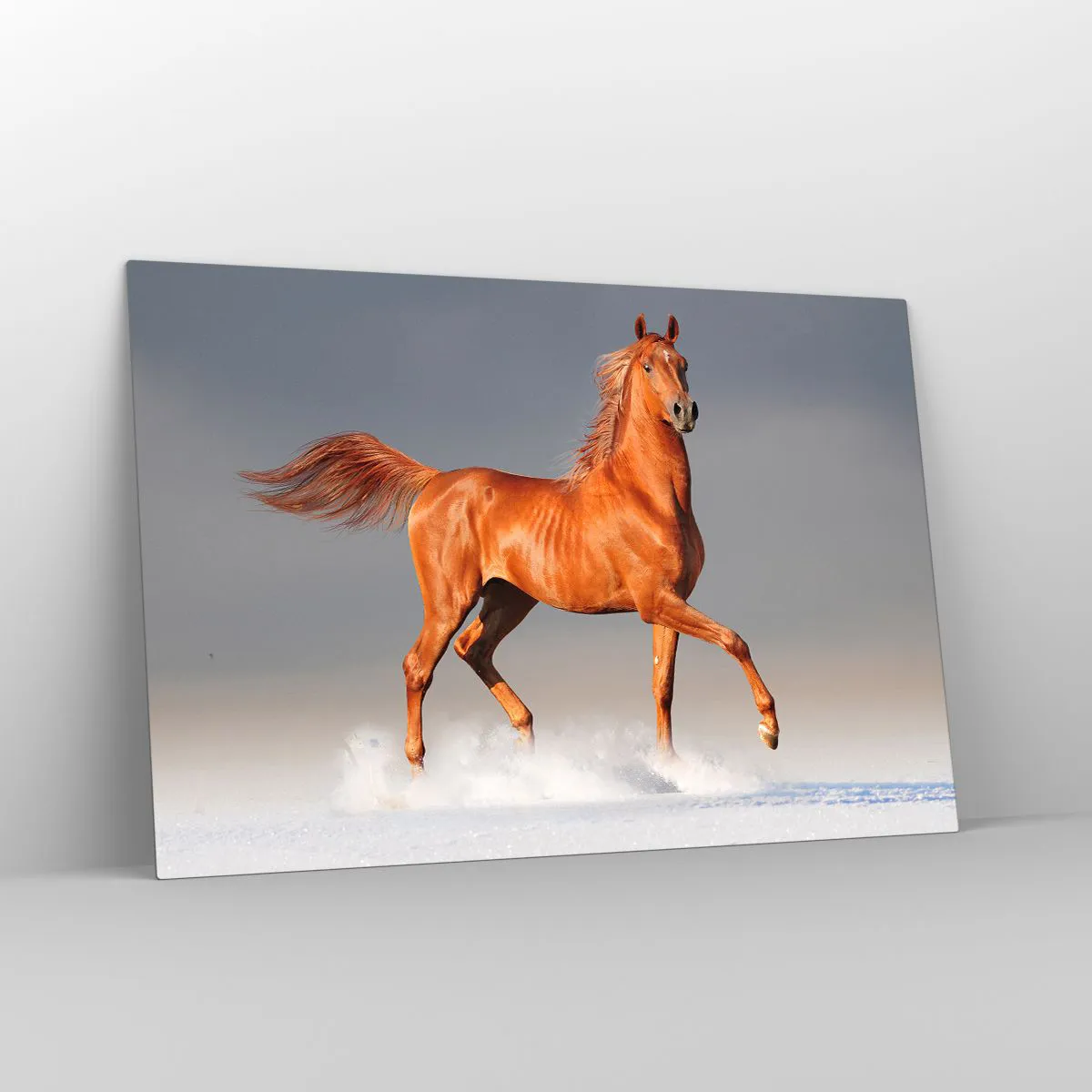 Obraz na szkle - Galopujący koń na tle jasnego nieba - 120x80cm - Tańcząca gracja - Nowoczesna dekoracja ścienna do salonu, kuchni i sypialni ARTTOR