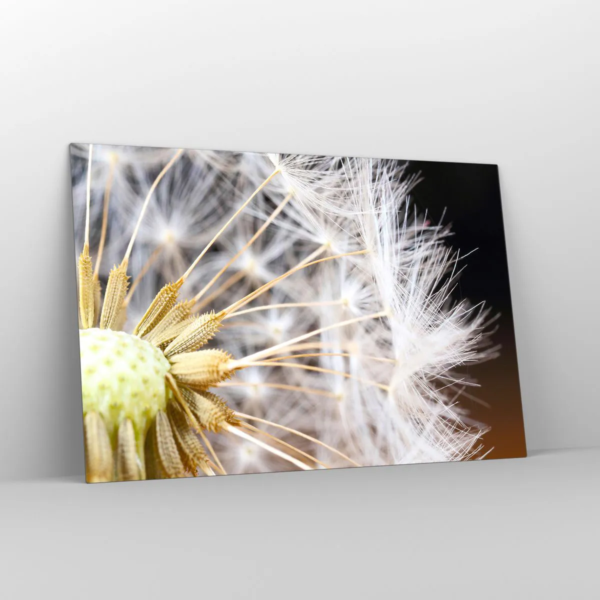 Glasbild - Bild auf glas - Nahaufnahme eines Löwenzahns mit zarten Samen - 120x80cm - Kurz vor dem Abflug - Moderne Wanddekoration für Wohnzimmer und Schlafzimmer ARTTOR