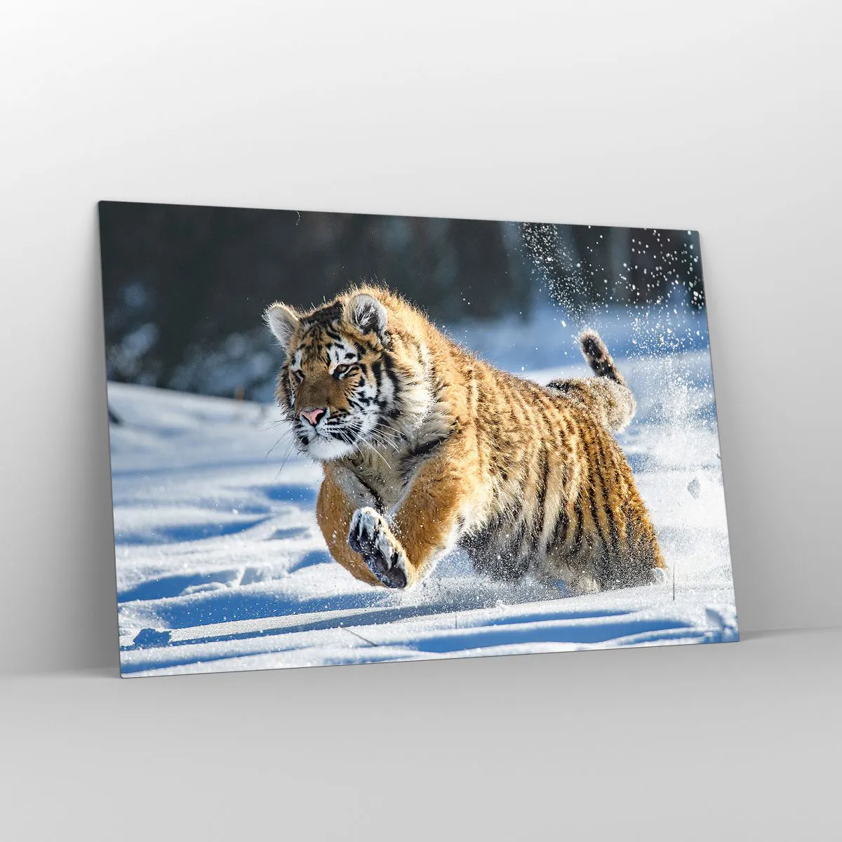 Impression sur verre - Image sur verre - Un tigre de Sibérie court dans la neige dans un paysage hivernal. - 120x80cm - Dieu de la taïga sibérienne - Décoration murale moderne pour le salon et la chambre ARTTOR