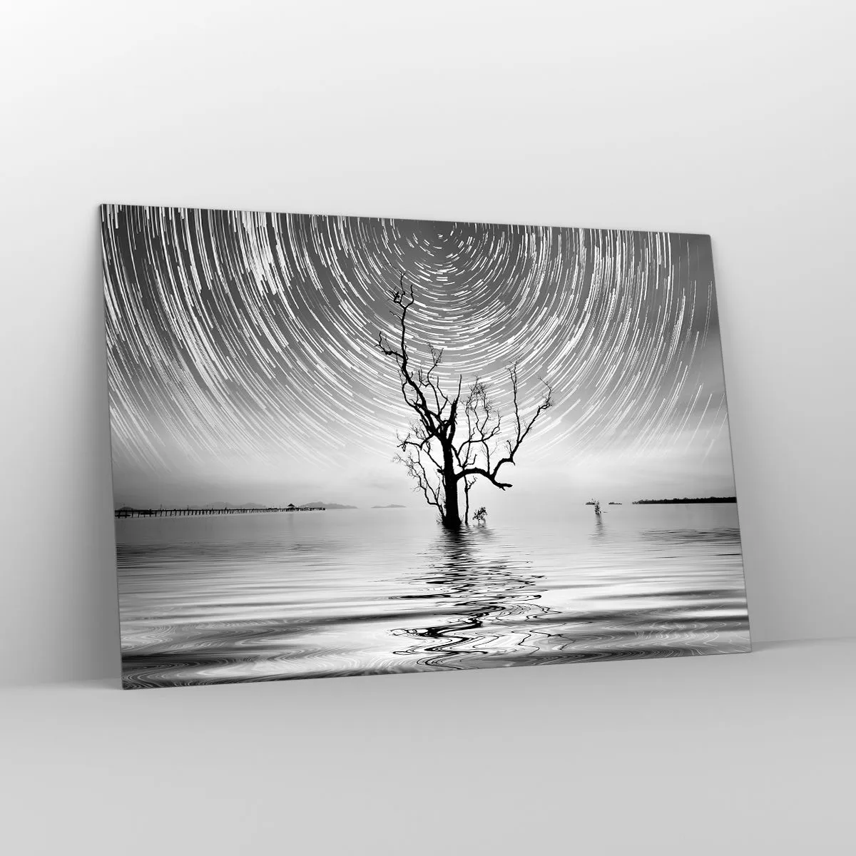 Obraz na szkle - Czarno-biały pejzaż z drzewem i smugami gwiazd - 120x80cm - Symfonia natury - Nowoczesna dekoracja ścienna do salonu, kuchni i sypialni ARTTOR