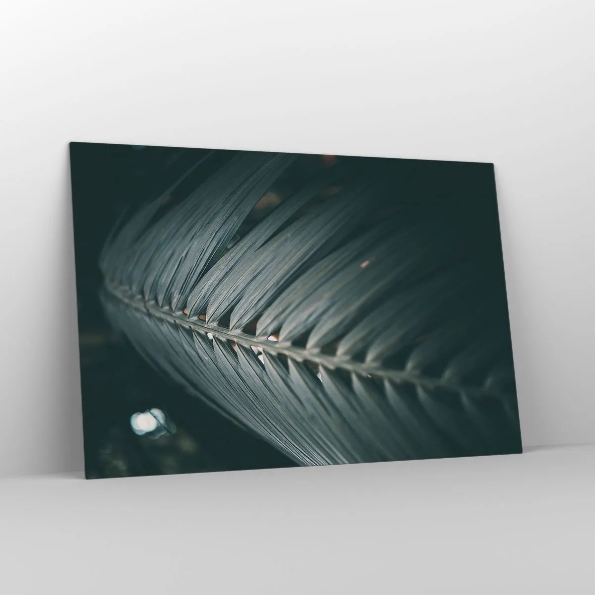Glasbild - Bild auf glas - Nahaufnahme eines dunkelgrünen Palmblattes mit Lichtreflexion - 120x80cm - Die Präzision der Natur - Moderne Wanddekoration für Wohnzimmer und Schlafzimmer ARTTOR