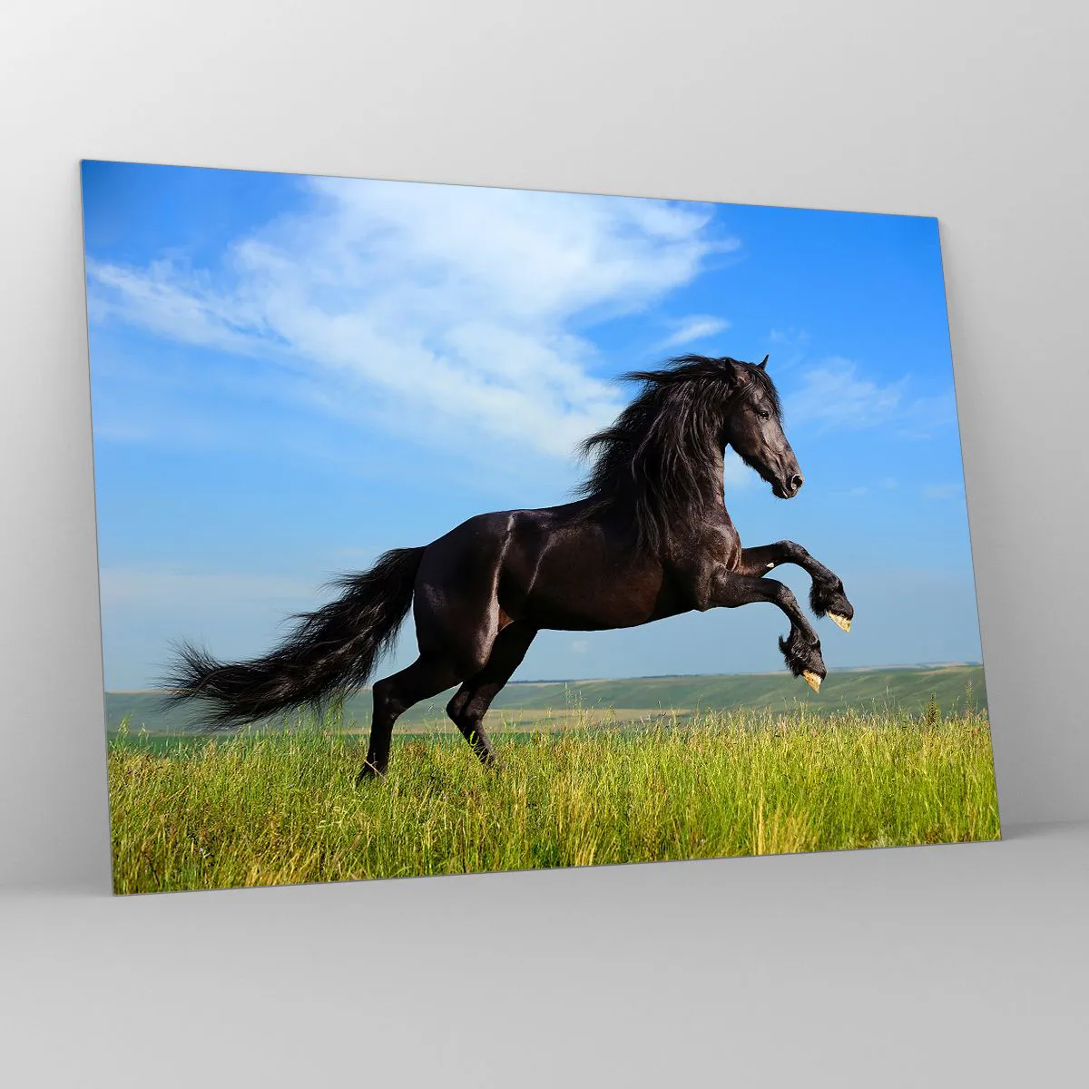 Tablou pe sticlă - Un cal negru galopând pe un cer albastru și o pajiște verde. - 70x50cm - Un manifest entuziast pentru libertate - Decorațiune modernă pentru perete pentru living și dormitor ARTTOR