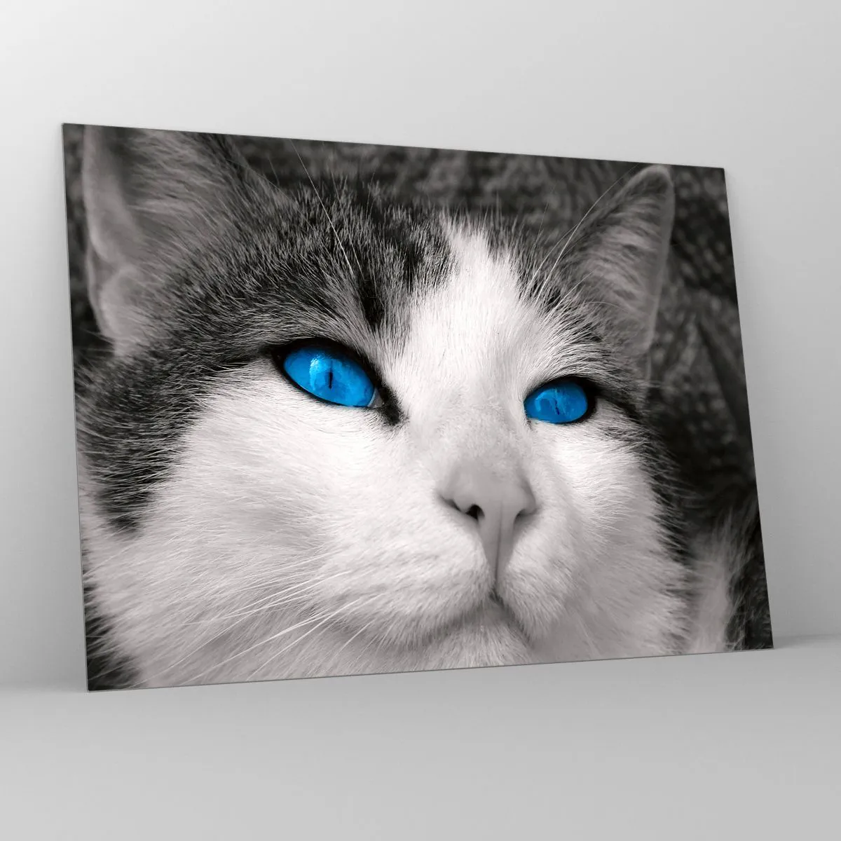 Quadro em vidro - Uma foto em preto e branco de um gato com olhos azuis intensos. - 70x50cm - Raridade de olhos azuis - Decoração de parede moderna para a sala de estar e quarto ARTTOR