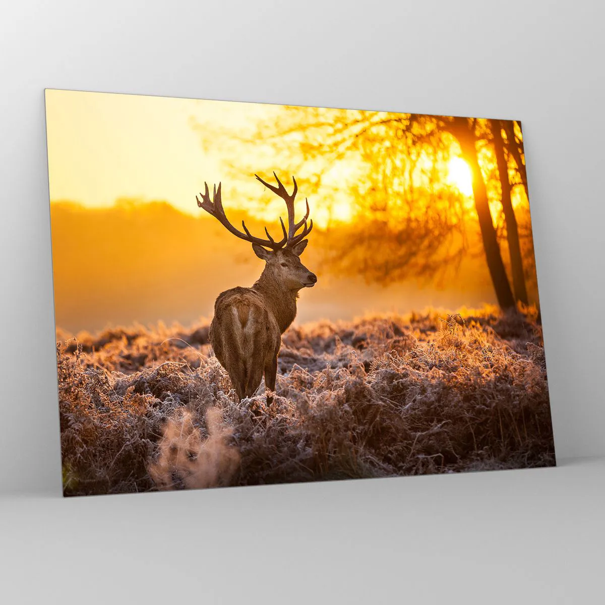 Cuadro sobre vidrio - Impresiones sobre Vidrio - Ciervos bajo los rayos del sol naciente - 70x50cm - Rey del bosque de otoño - Decoración de pared moderna para salón y dormitorio ARTTOR