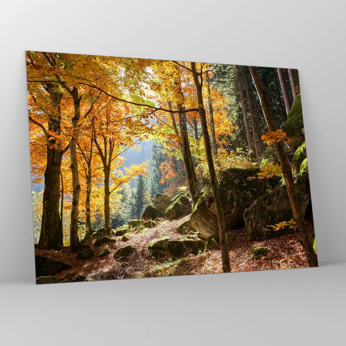 Obraz na skle - Jesenný les so slnečnými lúčmi a kameňmi - 70x50cm - Čas na odpočinok - Moderná nástenná dekorácia do obývacej izby a spálne ARTTOR