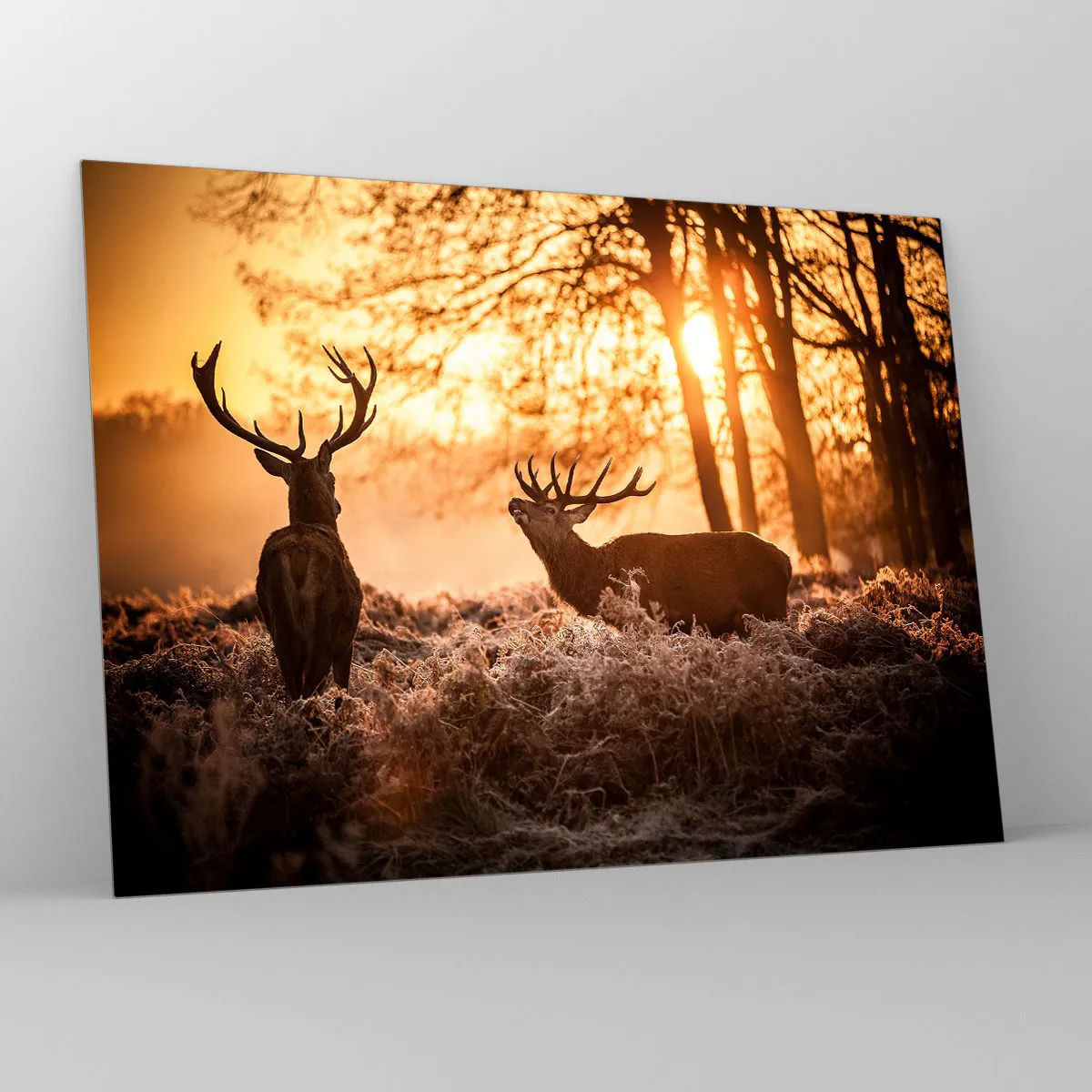 Tablou pe sticlă - Două căprioare într-o scenă de pădure la răsărit - 70x50cm - Visul unui vânător - Decorațiune modernă pentru perete pentru living și dormitor ARTTOR