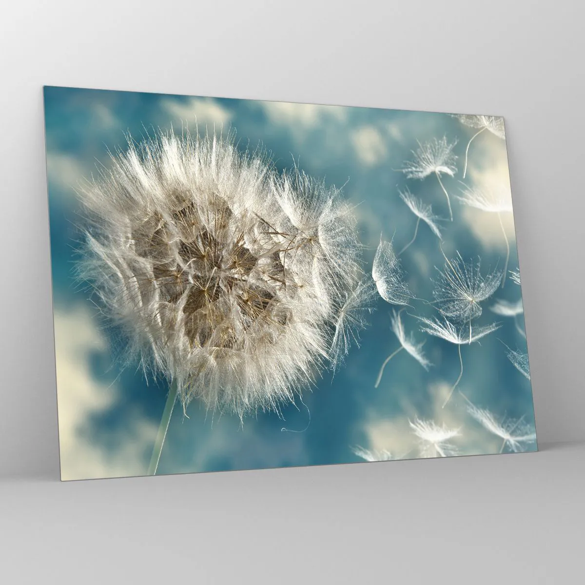 Billede på glas - En sart mælkebøtte mod himlen med flydende frø - 70x50cm - En engels åndedræt - Moderne vægdekoration til stue og soveværelse ARTTOR