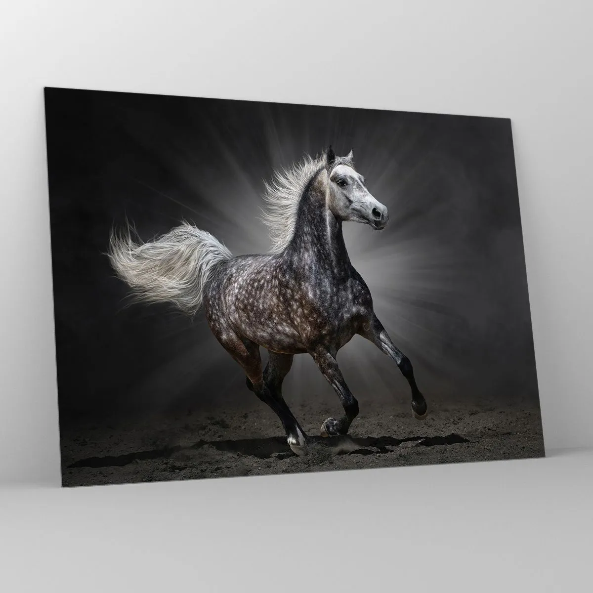 Glass picture - A galloping horse against a dark background with a lighting effect. - 70x50cm - Grey Is Beautiful - Modern wall decoration for the living room and bedroom ARTTOR
