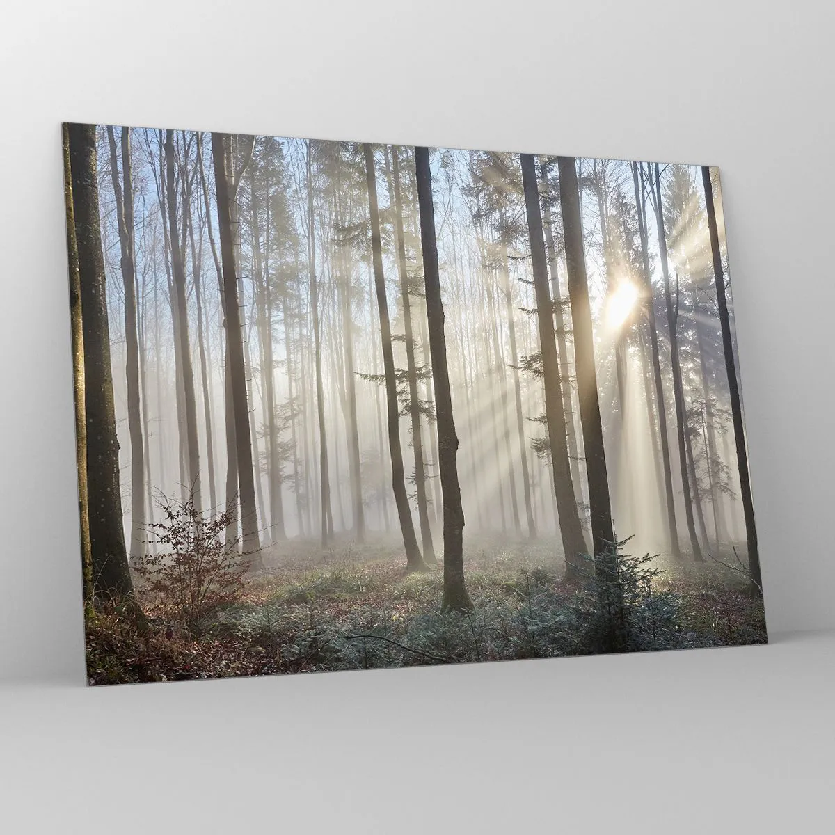 Quadro su vetro - I raggi del sole mattutino penetrano nella foresta nebbiosa - 70x50cm - Anche la nebbia si è svegliata - Decorazione murale moderna per soggiorno e camera da letto ARTTOR