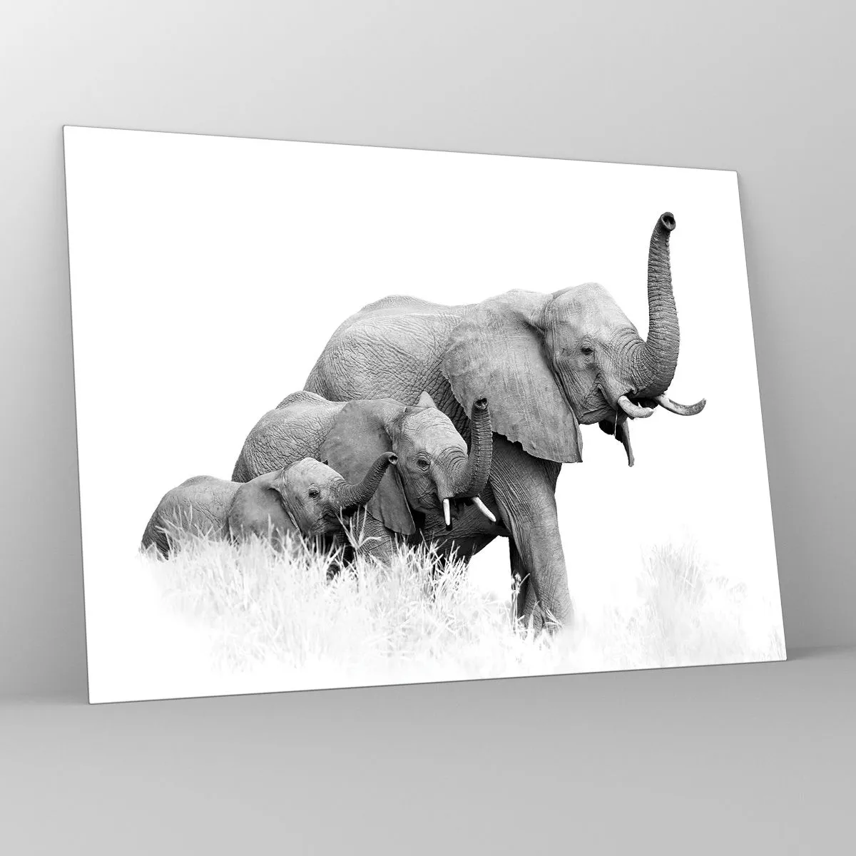 Impression sur verre - Image sur verre - Famille d'éléphants noirs et blancs dans la nature - 70x50cm - Un, deux, trois - Décoration murale moderne pour le salon et la chambre ARTTOR
