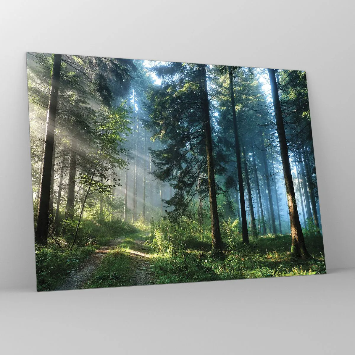 Glass picture - A forest path in the morning mist among tall trees - 70x50cm - Radiant at Dawn - Modern wall decoration for the living room and bedroom ARTTOR