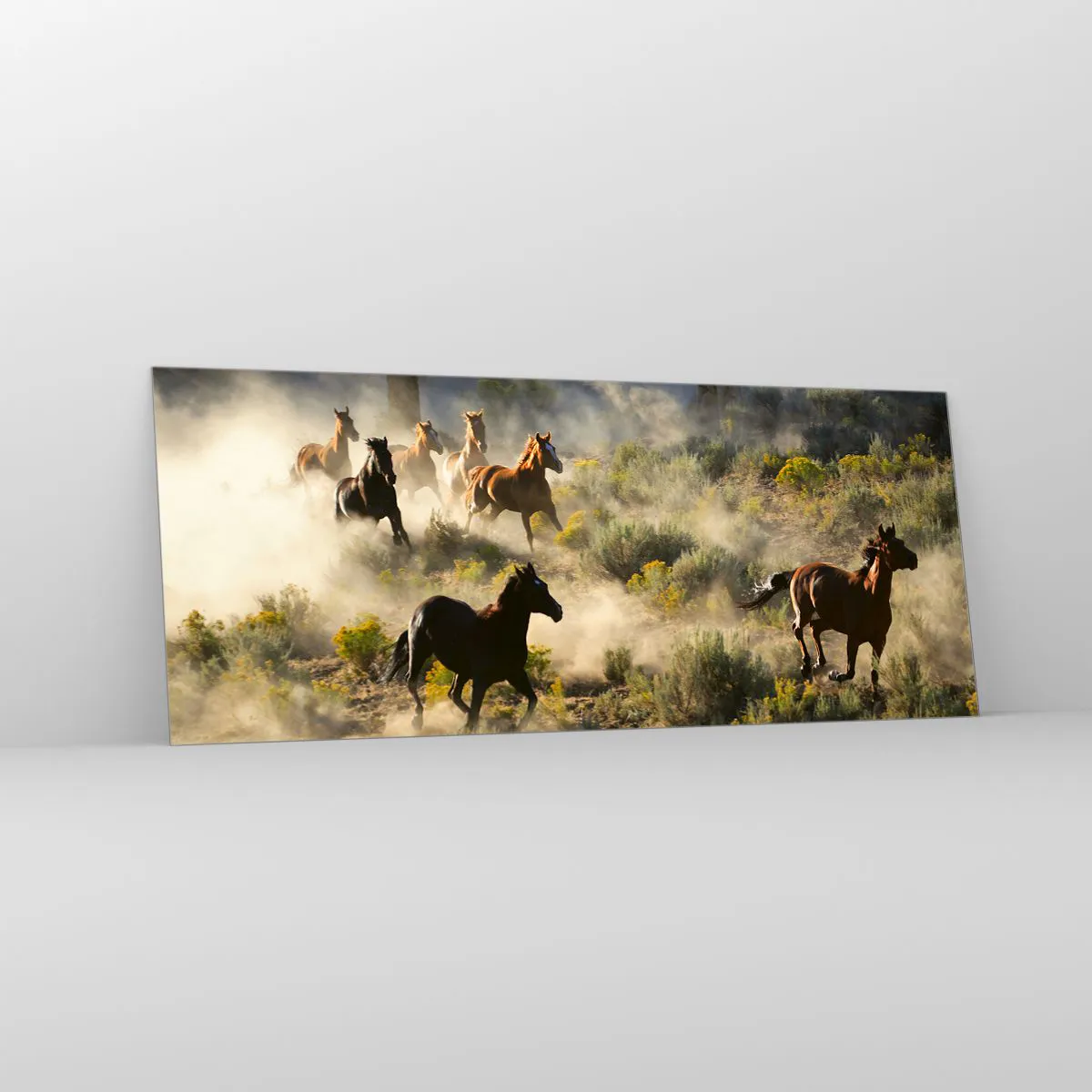 Glasbild - Bild auf glas - Rivalität – Freiheit oder männliche Stärke? - 100x40 cm