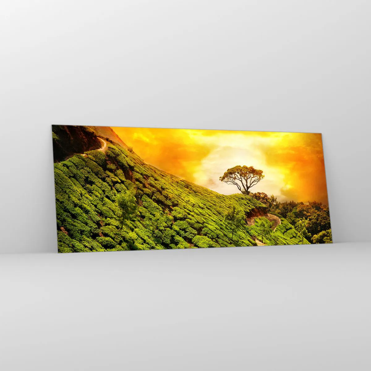 Impression sur verre - Image sur verre - Un chemin sinueux, une pente verte - 100x40 cm