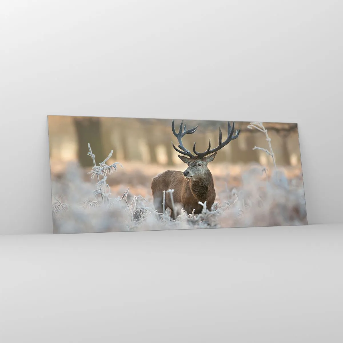 Obraz na szkle - Rześki poranek - 100x40 cm