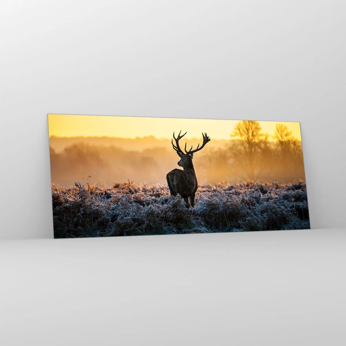 Impression sur verre - Image sur verre - Un cerf dans une clairière gelée au lever du soleil - 120x50cm - Couronné pour sa succession - Décoration murale moderne pour le salon et la chambre ARTTOR