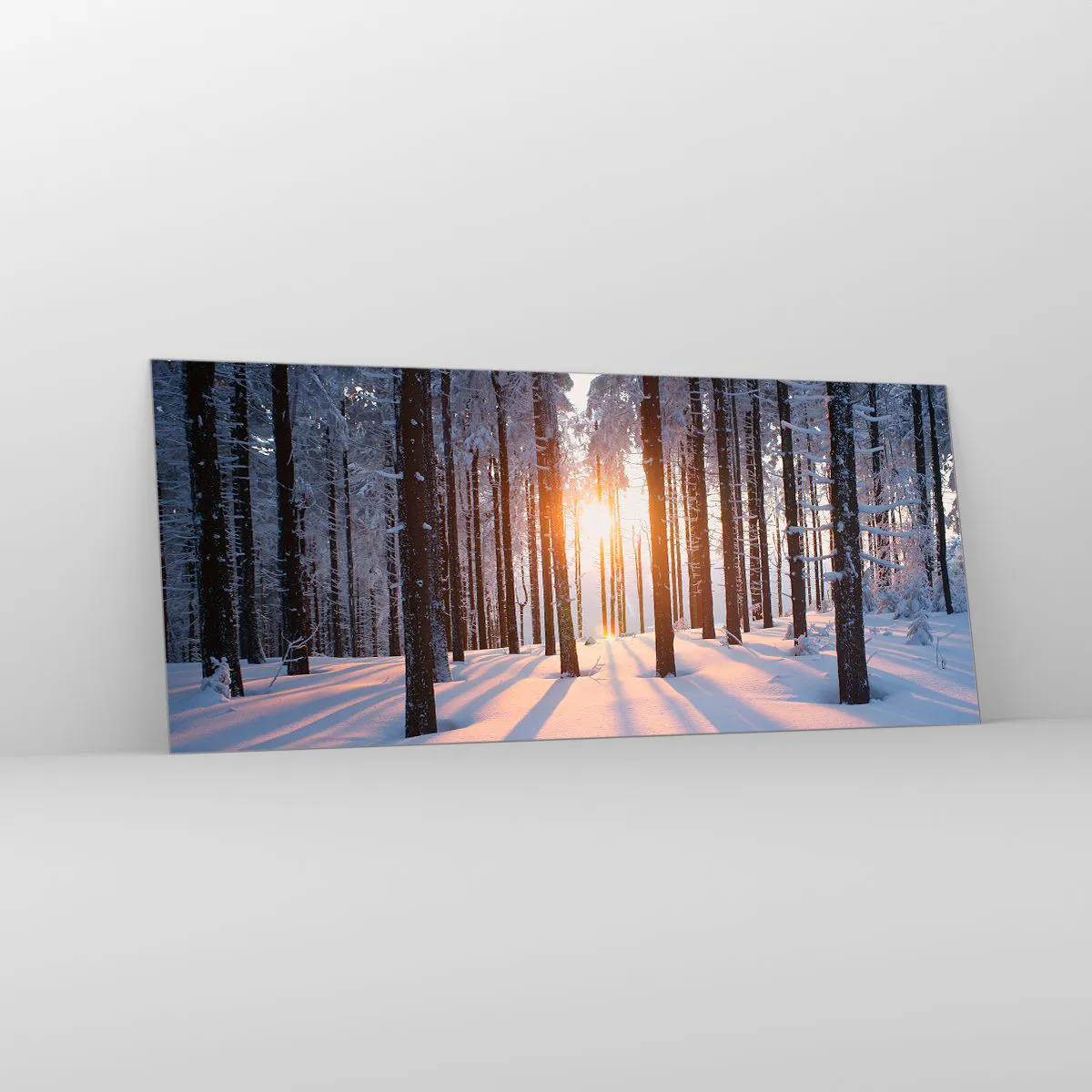 Cuadro sobre vidrio - Impresiones sobre Vidrio - Bosque invernal iluminado por los rayos del sol. - 120x50cm - Claramente en blanco y negro - Decoración de pared moderna para salón y dormitorio ARTTOR
