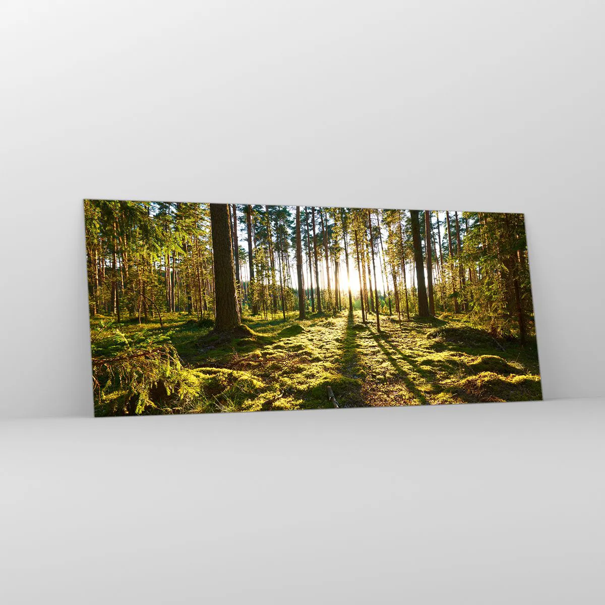 Impression sur verre - Image sur verre - Forêt verte illuminée par la lumière du soleil sur la mousse - 120x50cm - … Derrière les sept forêts - Décoration murale moderne pour le salon et la chambre ARTTOR