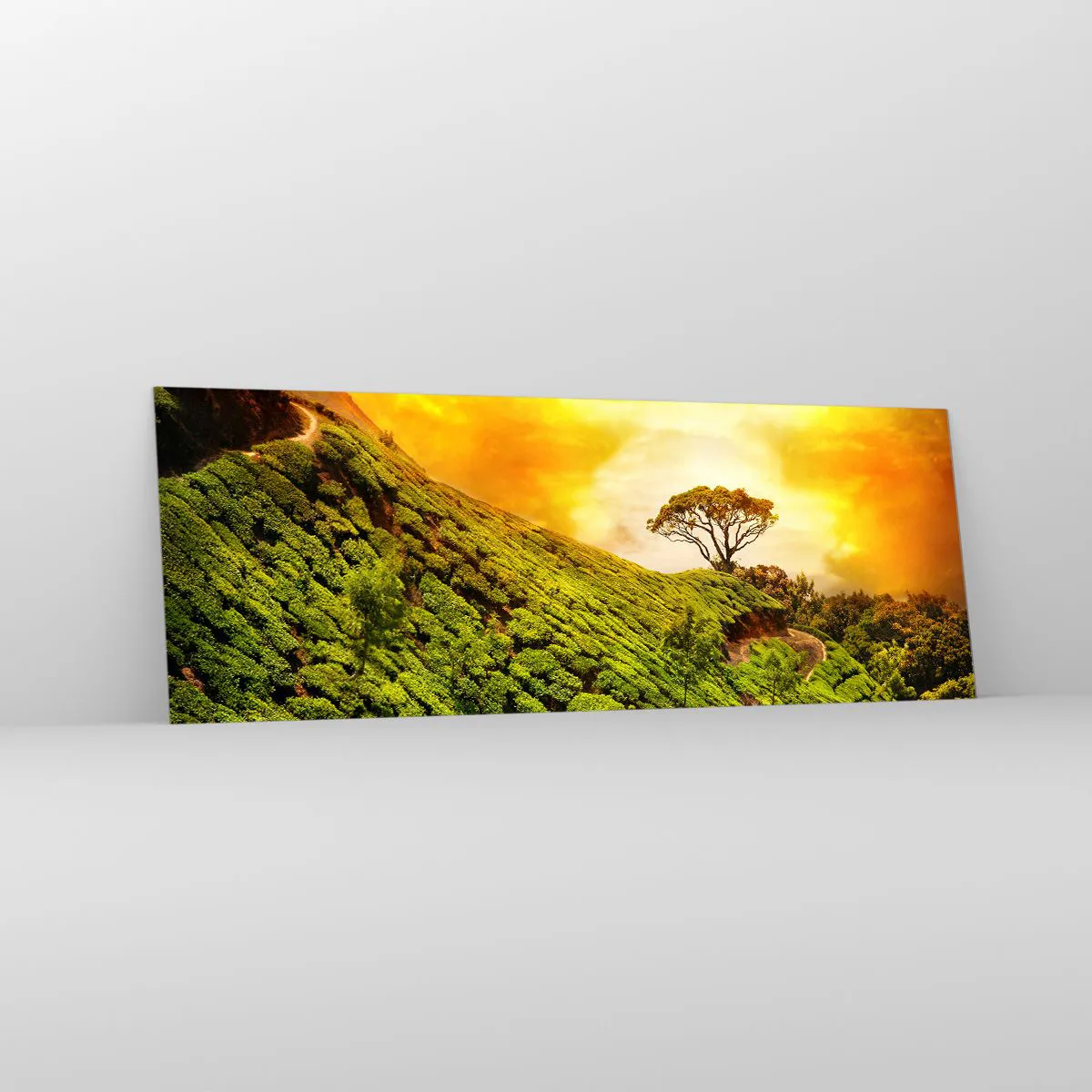 Impression sur verre - Image sur verre - Collines verdoyantes de plantations de thé au coucher du soleil - 140x50cm - Un chemin sinueux, une pente verte - Décoration murale moderne pour le salon et la chambre ARTTOR
