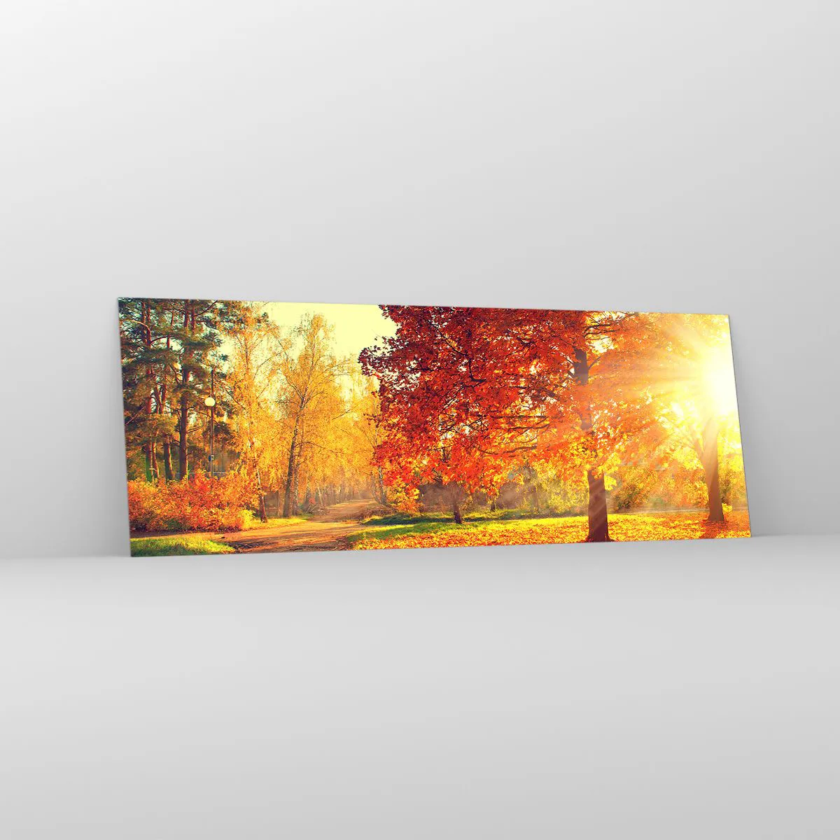Impression sur verre - Image sur verre - Parc d'automne illuminé par la lumière du soleil - 140x50cm - Le roux est beau - Décoration murale moderne pour le salon et la chambre ARTTOR
