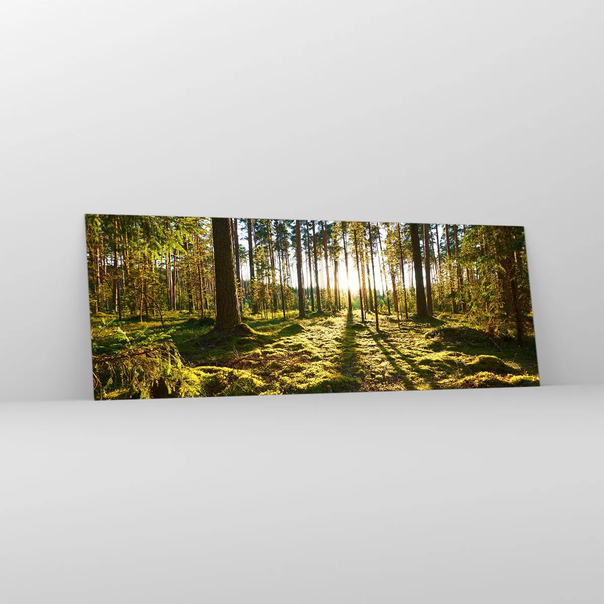 Impression sur verre - Image sur verre - Forêt verte illuminée par la lumière du soleil sur la mousse - 140x50cm - … Derrière les sept forêts - Décoration murale moderne pour le salon et la chambre ARTTOR