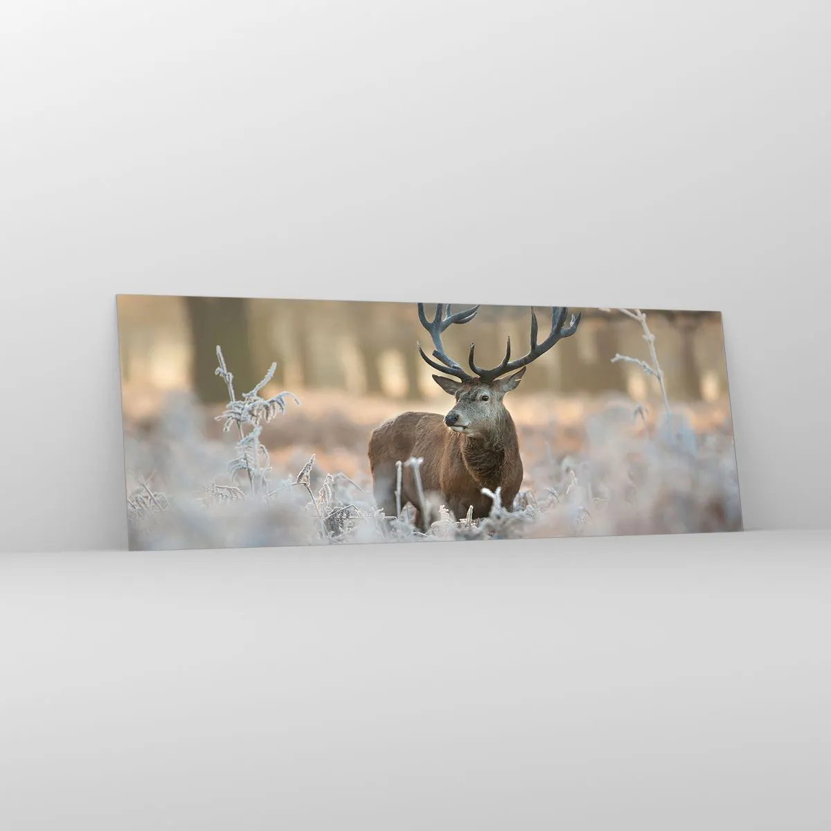 Impression sur verre - Image sur verre - Un cerf dans une clairière givrée dans une forêt hivernale aux couleurs subtiles - 140x50cm - Une matinée animée - Décoration murale moderne pour le salon et la chambre ARTTOR