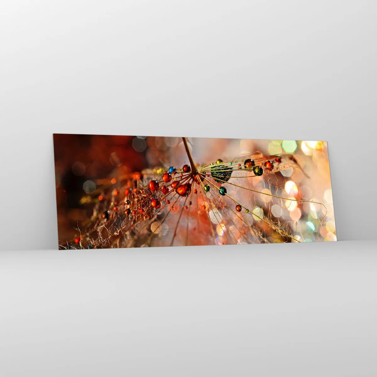 Glasbild - Bild auf glas - Makrofotografie eines Wassertropfens auf einer zarten Pflanze - 140x50cm - Auf einem Spinnenfaden aufgefädelt - Moderne Wanddekoration für Wohnzimmer und Schlafzimmer ARTTOR