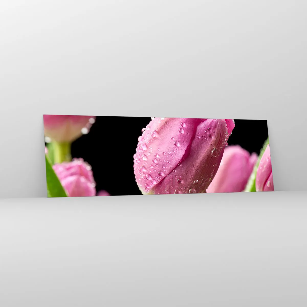Glasbild - Bild auf glas - Rosa Tulpe mit Wassertropfen auf schwarzem Hintergrund - 160x50cm - Lila Traum im Tau - Moderne Wanddekoration für Wohnzimmer und Schlafzimmer ARTTOR