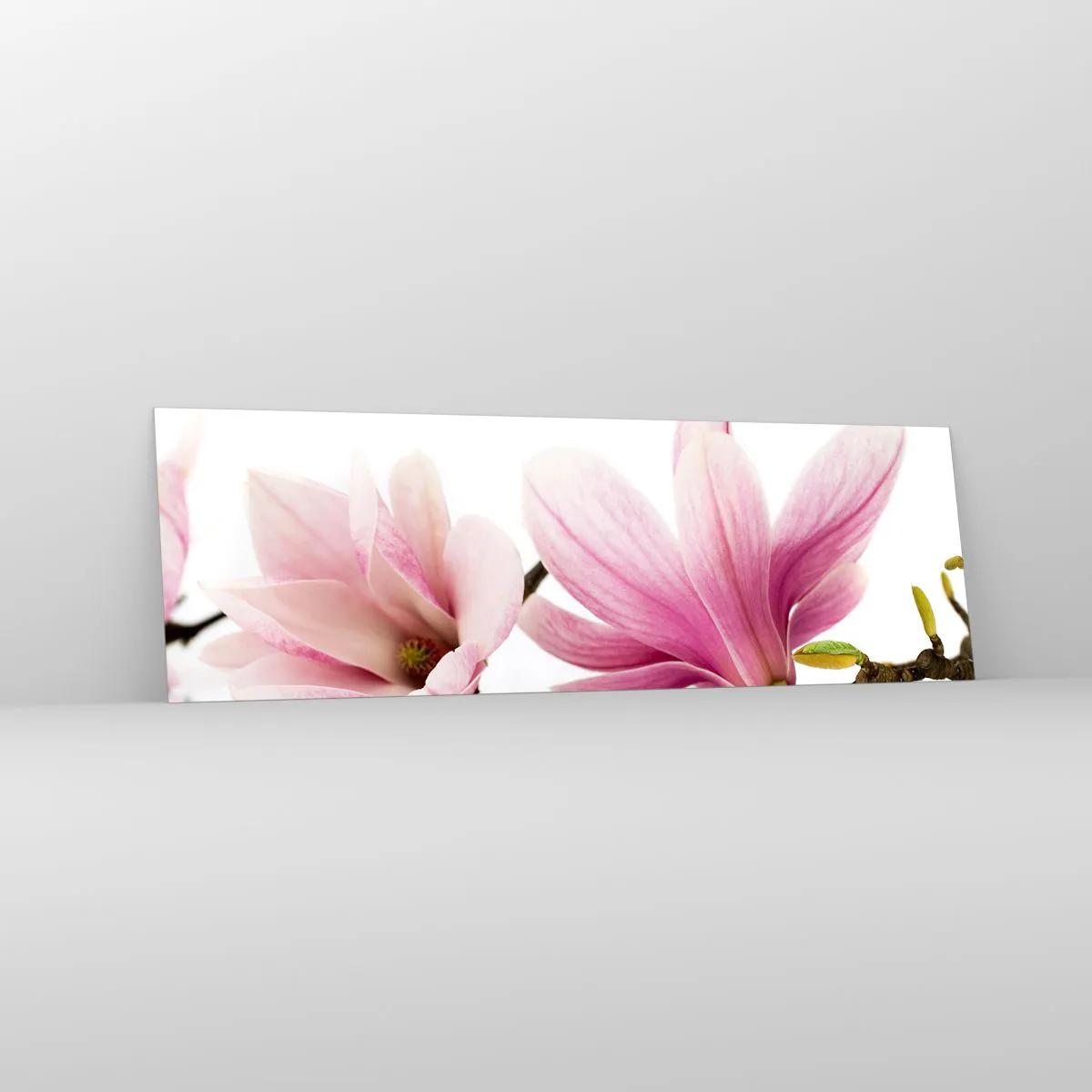 Glass picture - Delicate Like a Spring Breeze - 160x50 cm