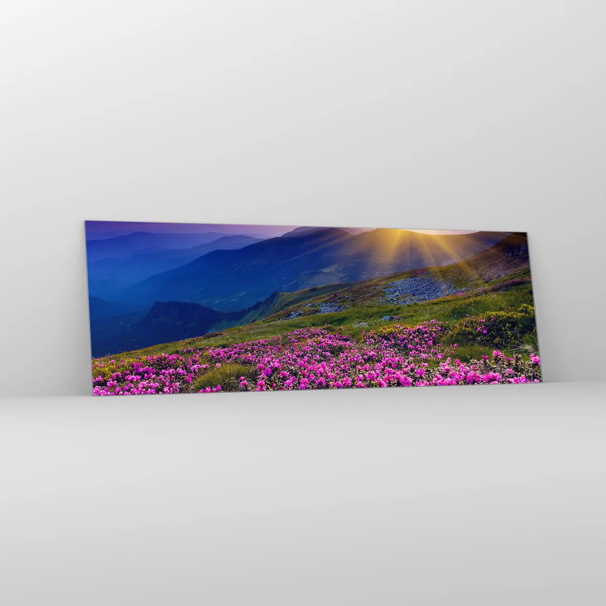 Quadro su vetro - Odore di mugo e profumo di erbe - 90x30 cm