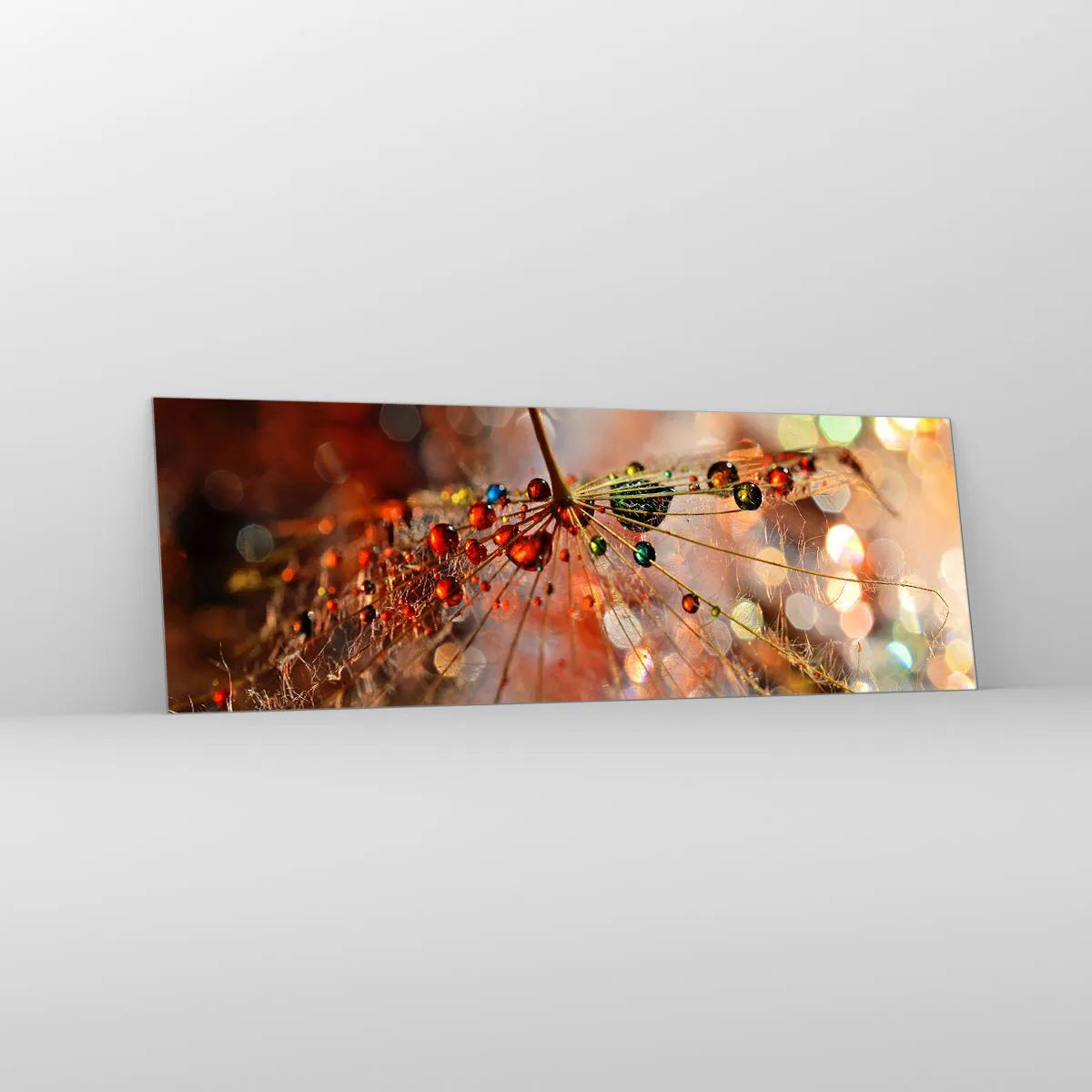 Billede på glas - Trådet på et edderkoppespind - 90x30 cm