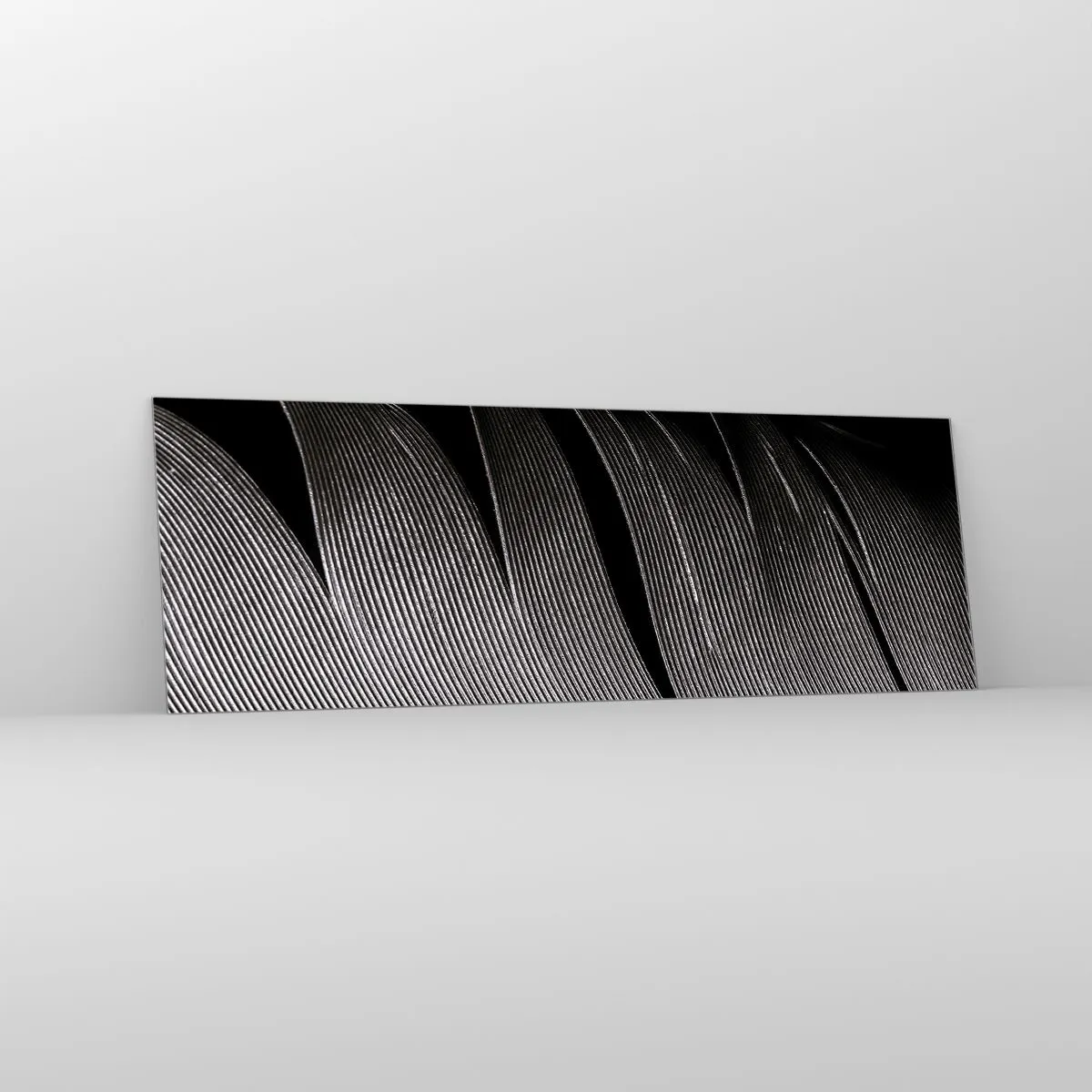 Glastavla - Bild på glas - Fjäder - en underbar konstruktion - 90x30 cm