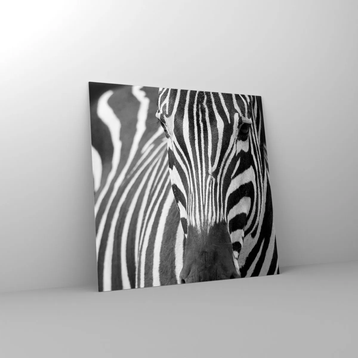 Quadro em vidro - O mundo é preto e branco - 30x30 cm