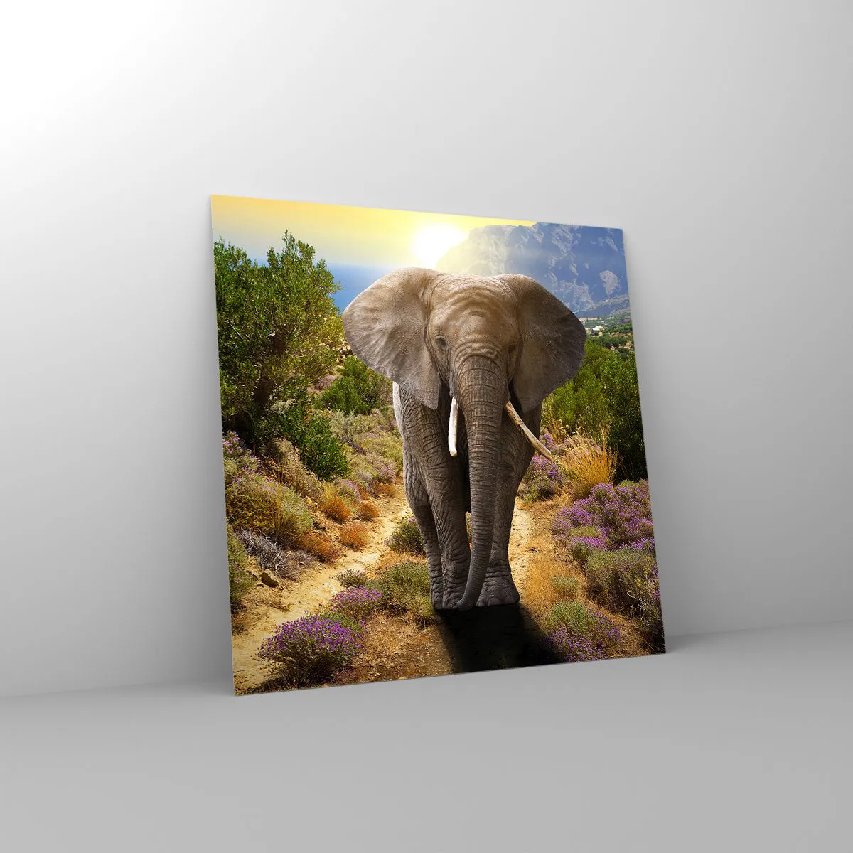 Cuadro sobre vidrio - Impresiones sobre Vidrio - Este es el aspecto del Edén - 30x30 cm