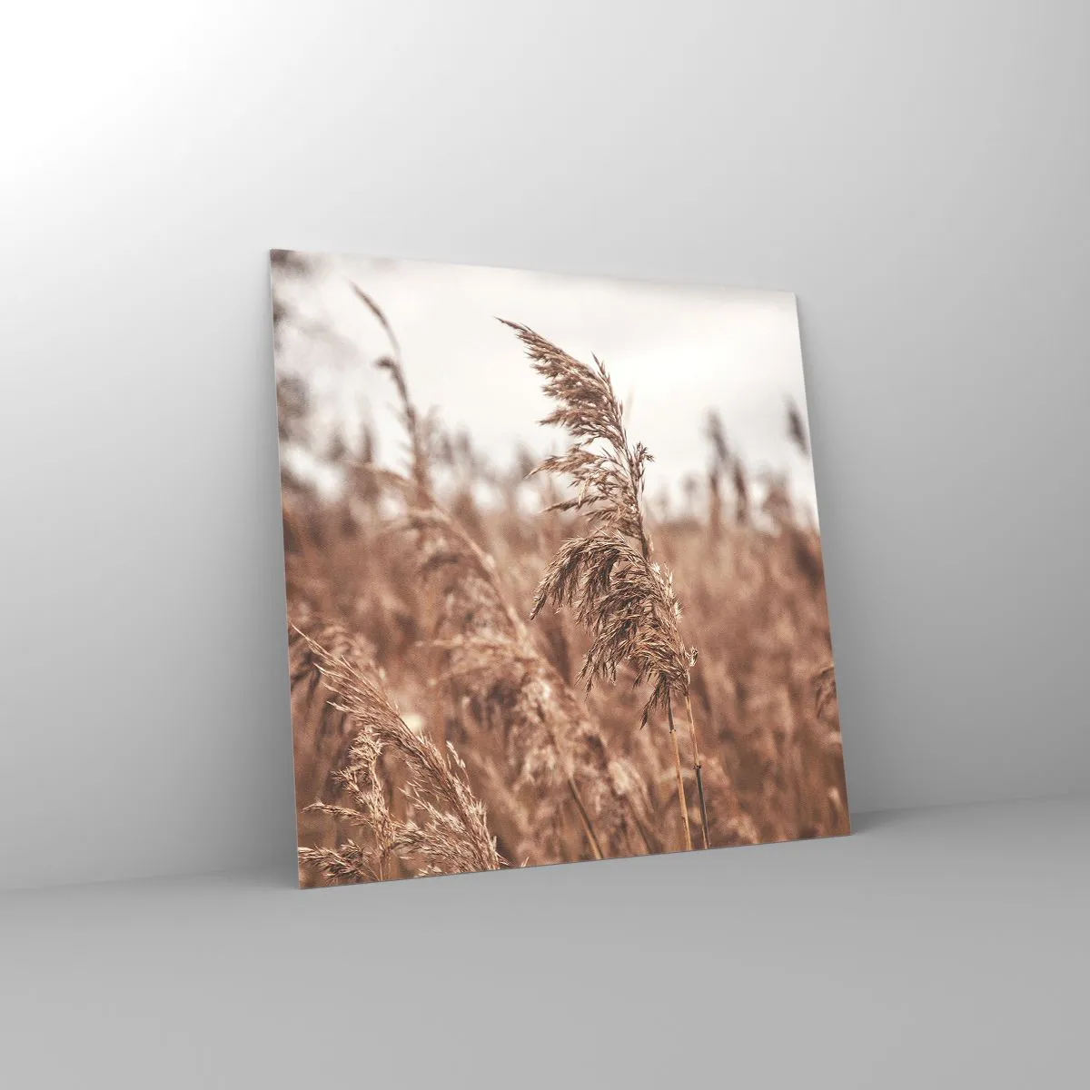 Üveg kép - Ősz van már a mezőkön - 30x30 cm