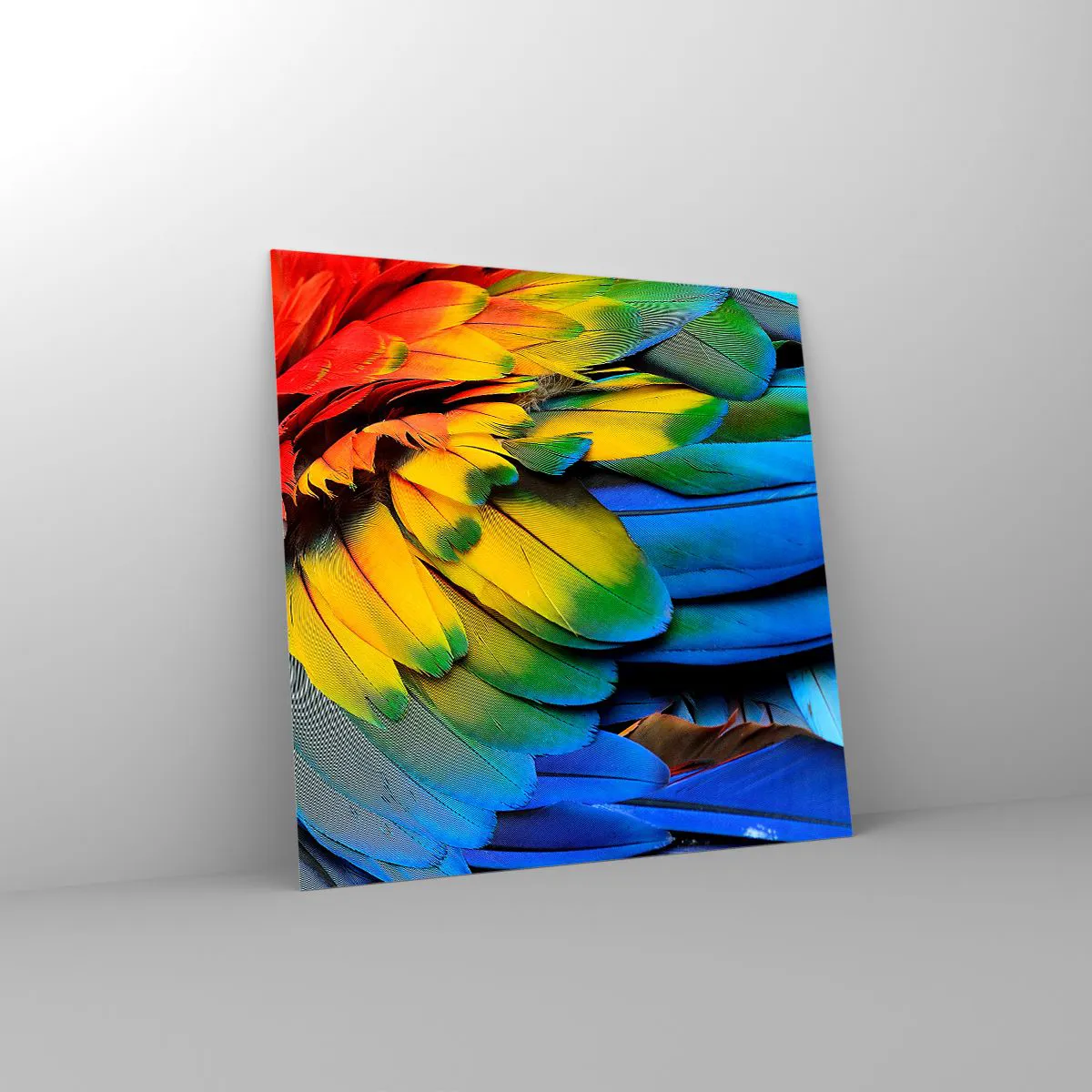 Quadro em vidro - Ave do paraíso - 40x40 cm