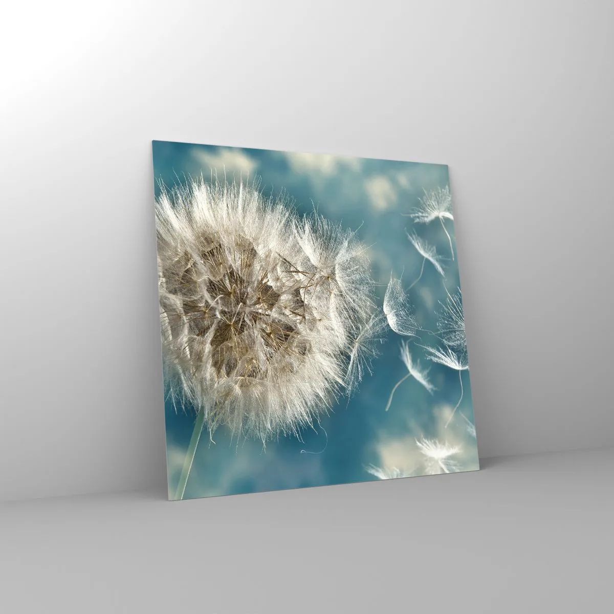 Obraz na szkle - Oddech anioła - 40x40 cm