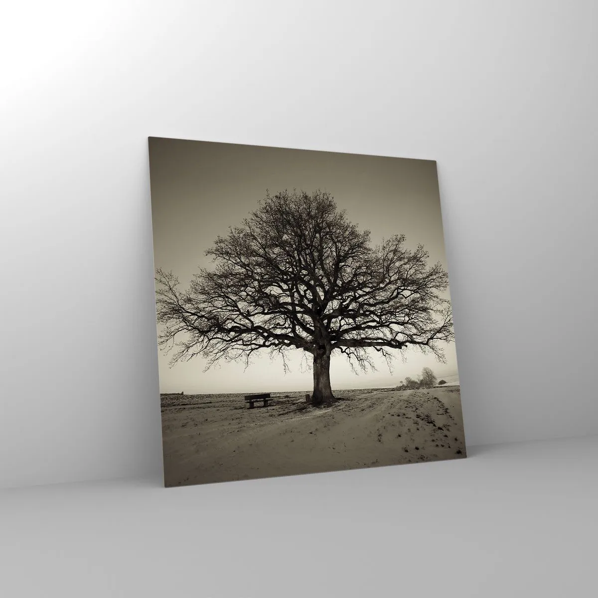 Impression sur verre - Image sur verre - D'ici à l'éternité - 40x40 cm