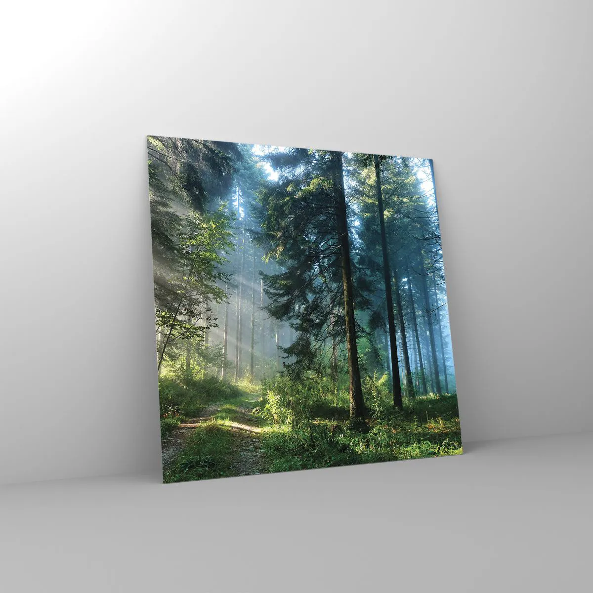 Obraz na szkle - Rozpromieniony o poranku - 40x40 cm