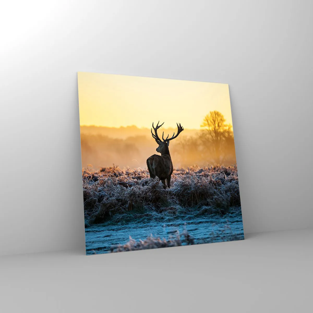 Billede på glas - Kronet på sine godser - 50x50 cm