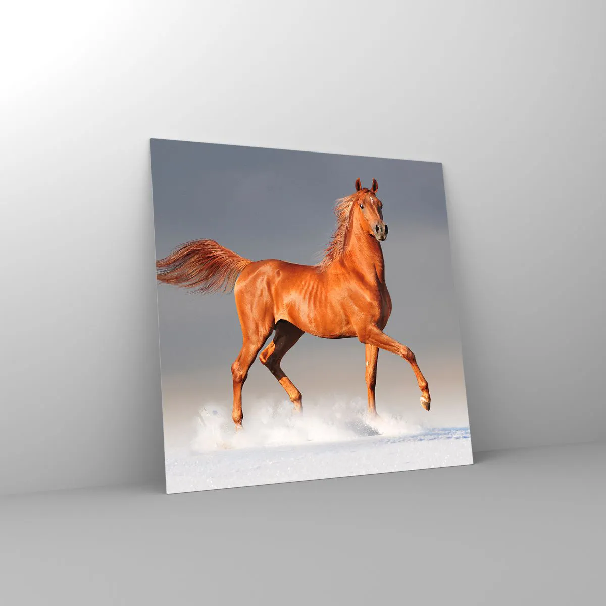 Üveg kép - Táncoló szépség - 50x50 cm