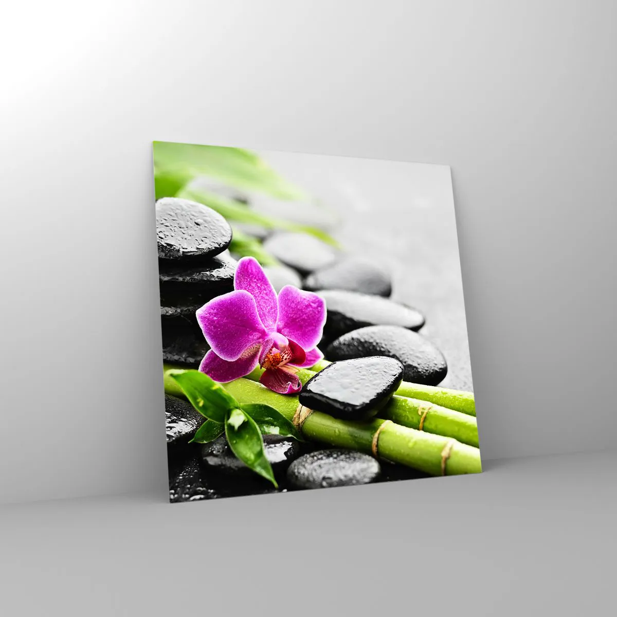 Impression sur verre - Image sur verre - Dans un équilibre de calme - 50x50 cm