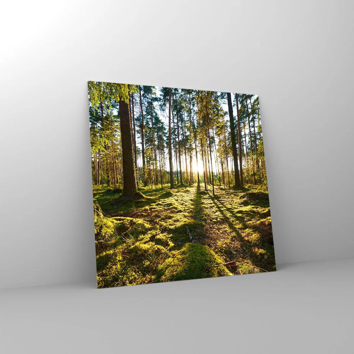 Impression sur verre - Image sur verre - … Derrière les sept forêts - 50x50 cm